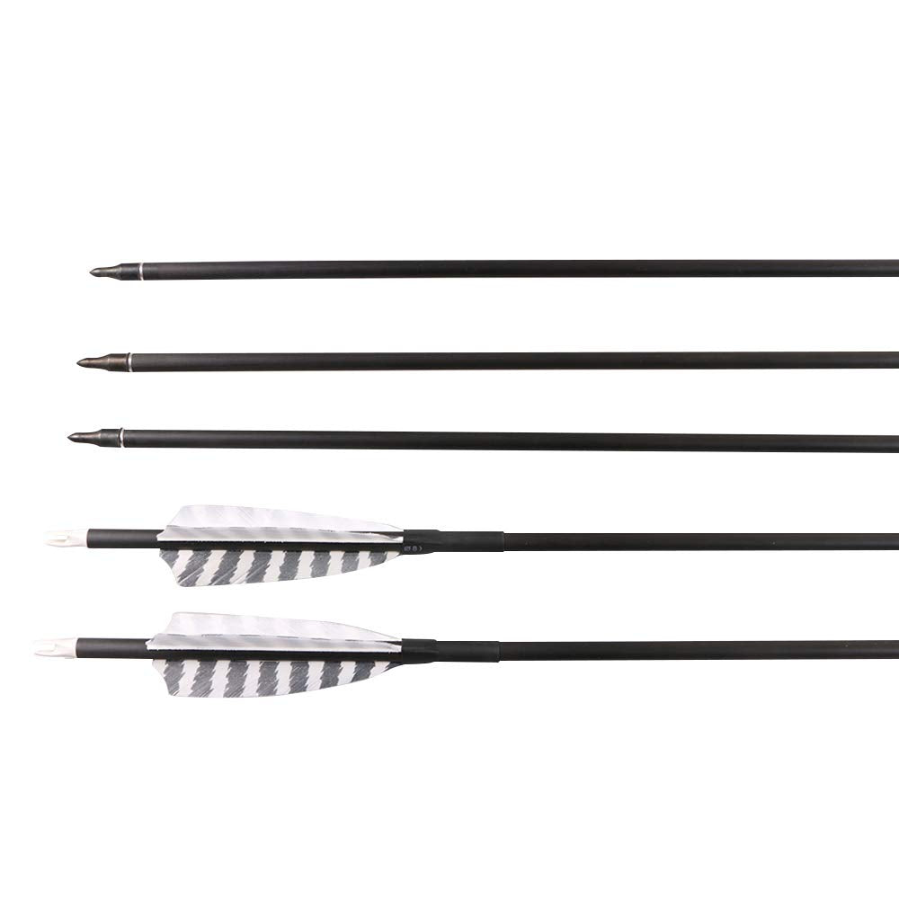 TOPARCHERY 6-pack arrows ready for hunting and target practice