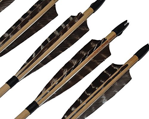 TOPARCHERY 5-inch turkey feather fletching stabilizes arrow in flight.