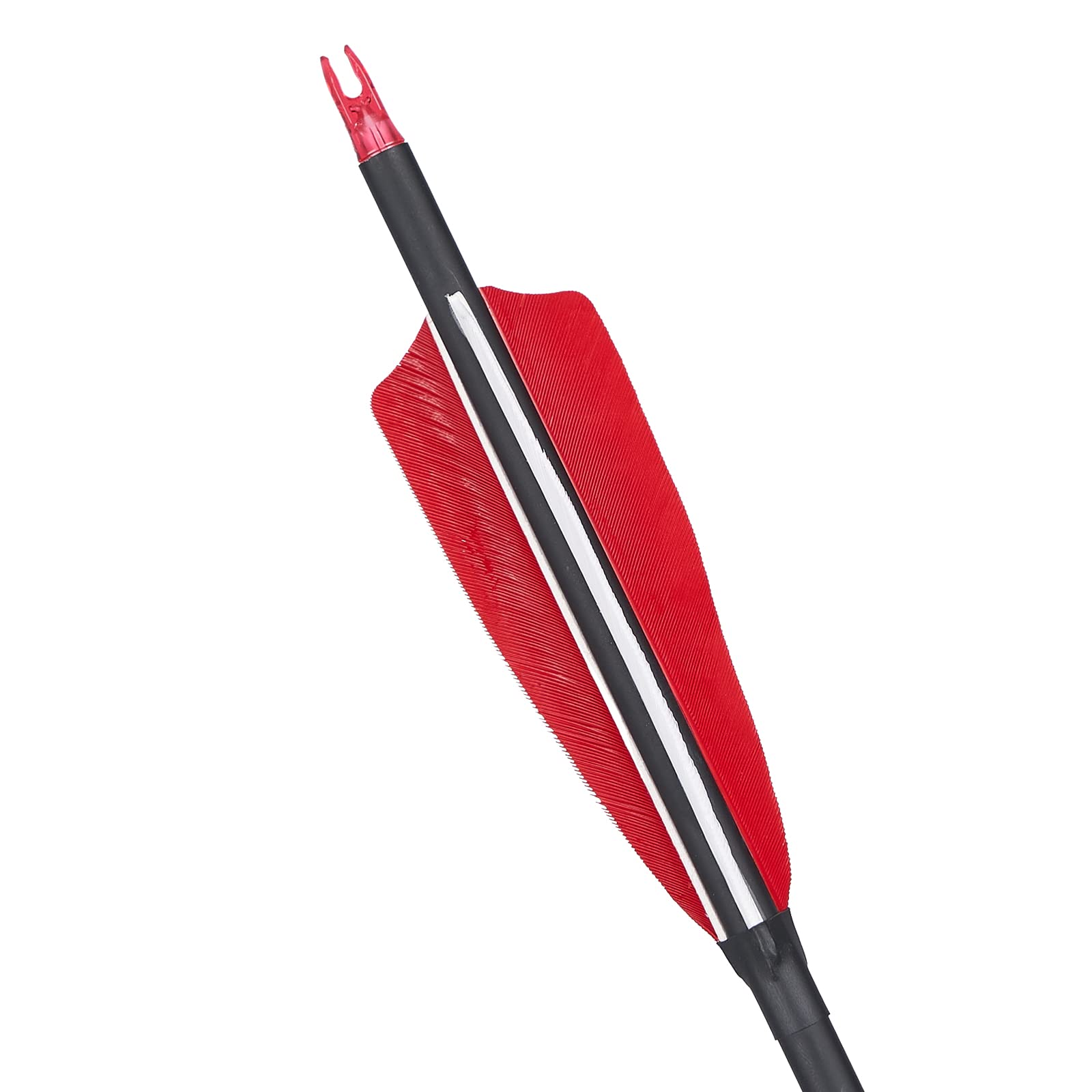 TopArchery carbon arrows weighing about 33 grams each minimize hand shock.