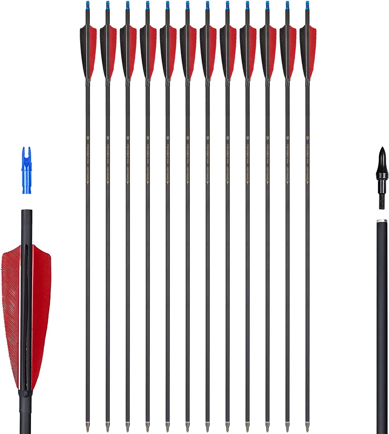 TOPARCHERY Premium 30-inch arrows with length focus for precise target shots