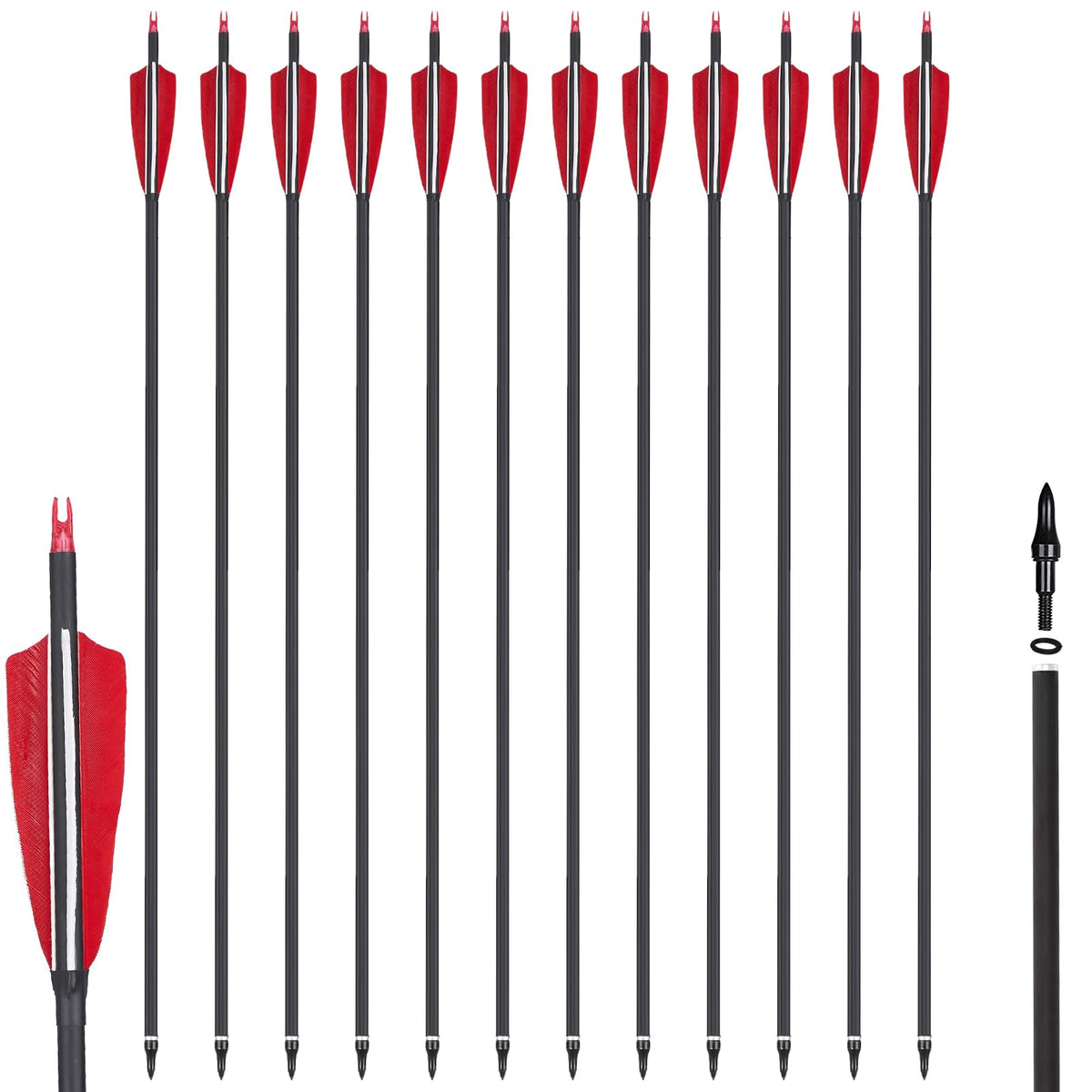 TopArchery carbon arrows with 4-inch turkey feather fletching for stable flight.