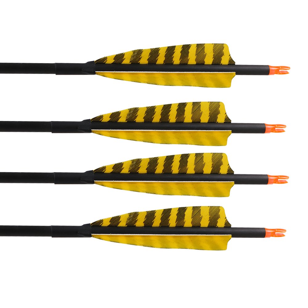 TOPARCHERY removable-tip arrow enables customization and easier maintenance