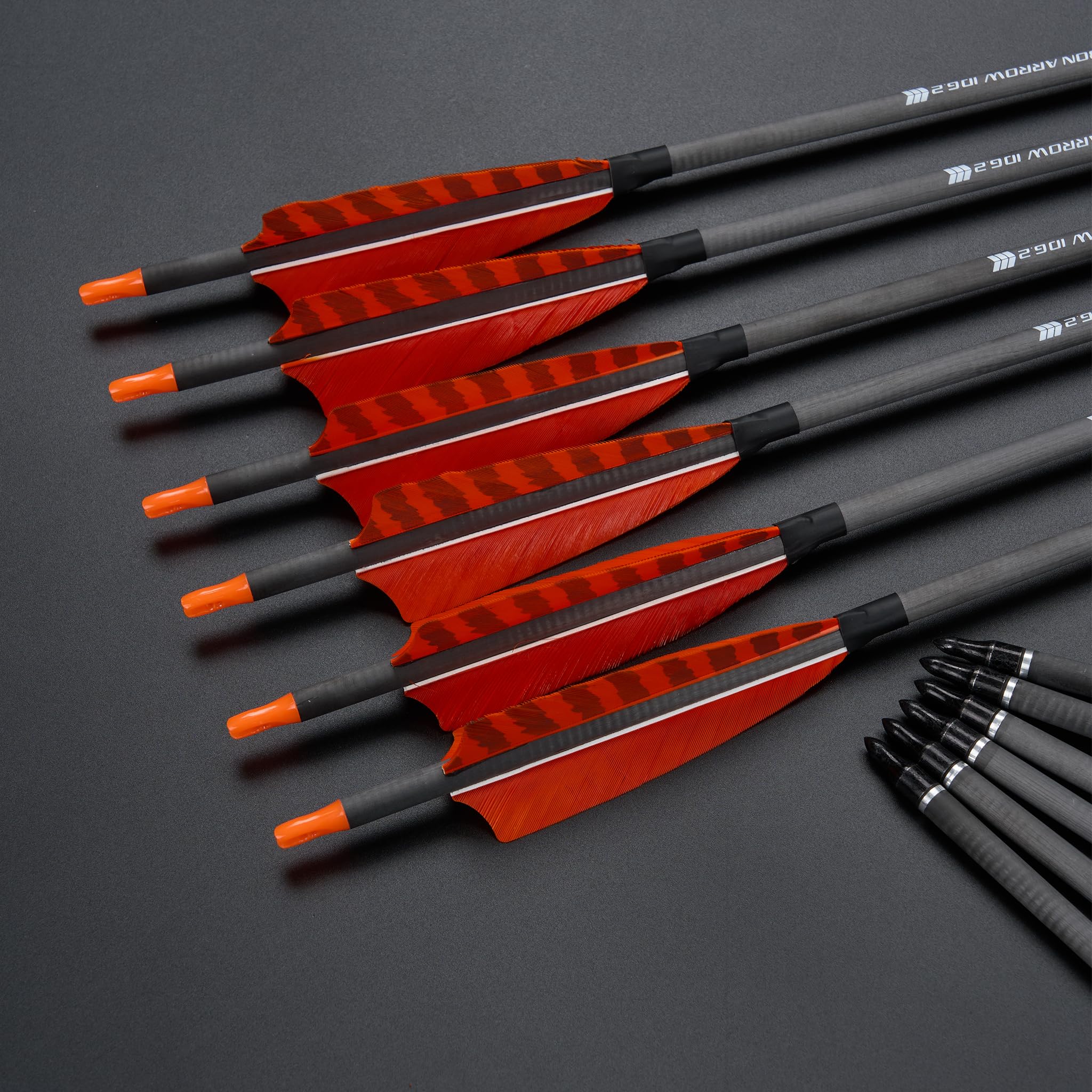 Toparchery turkey feather fletching enhances flight direction and consistency