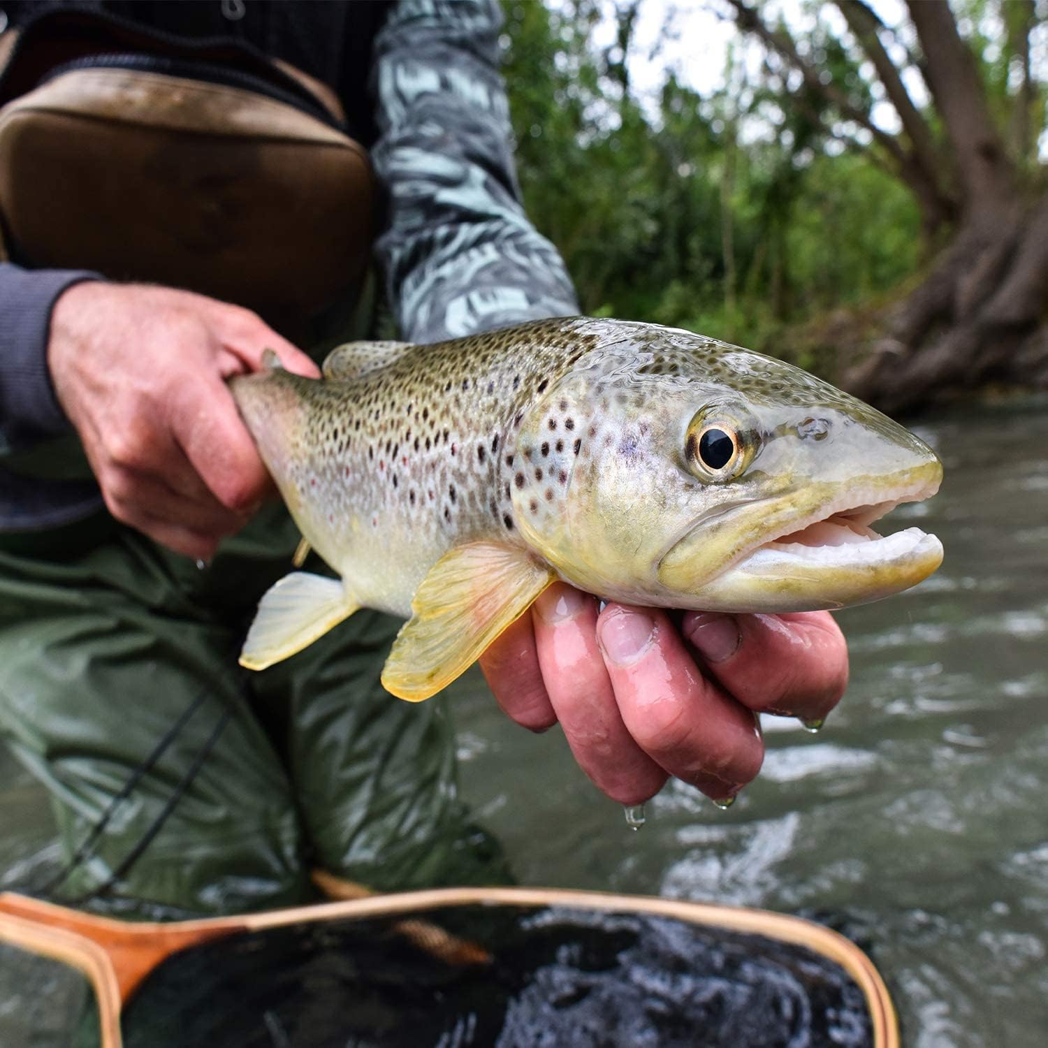 Worm rigged on a hook using Wacky O-Rings