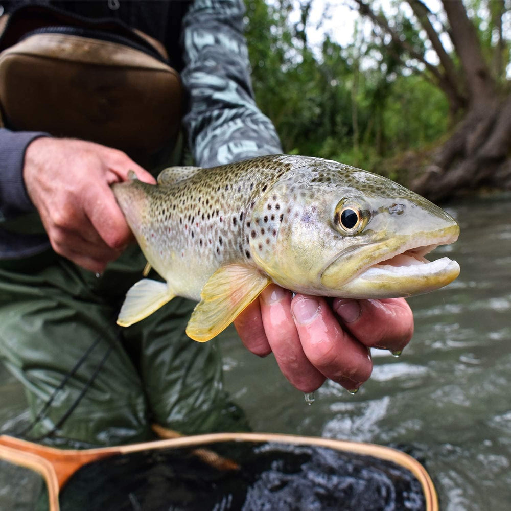 Worm rigged on a hook using Wacky O-Rings