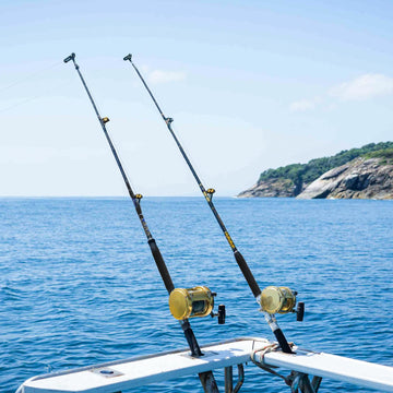 Topline Tackle deep sea rod models offer versatile options for sport or food fishing