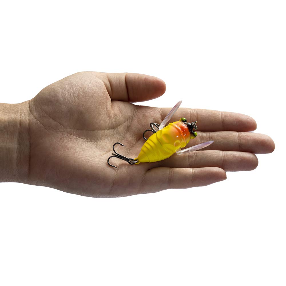 Details of weight and size: 6.0g, 5.0cm