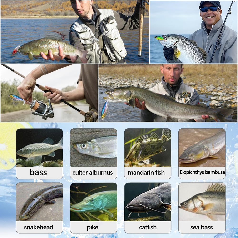 Durable topwater lure with sharp hooks for bass and pike