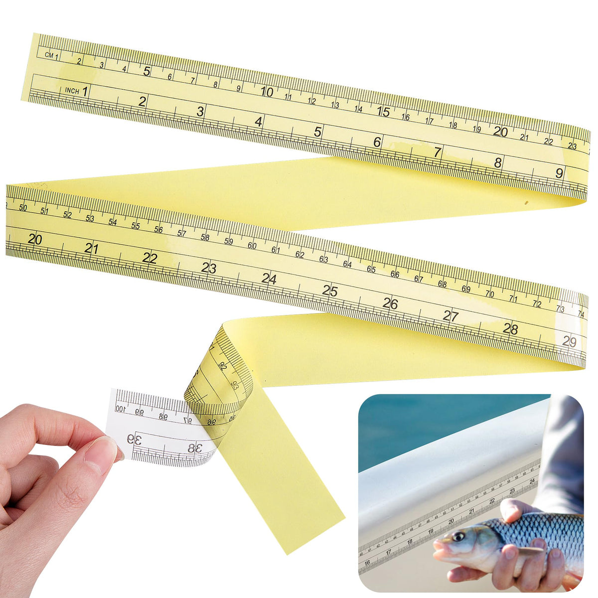 12-pack of transparent fish ruler stickers laid out