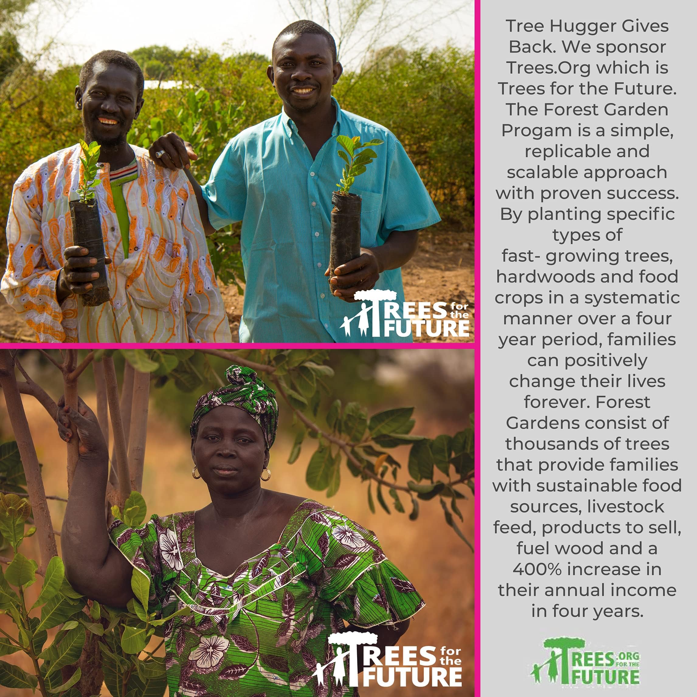 Tree Hugger Bubble Gum natural colors and flavors appeal to health-conscious shoppers