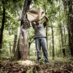Treehugger HD Trubark camo gravity feeder mounted to a tree