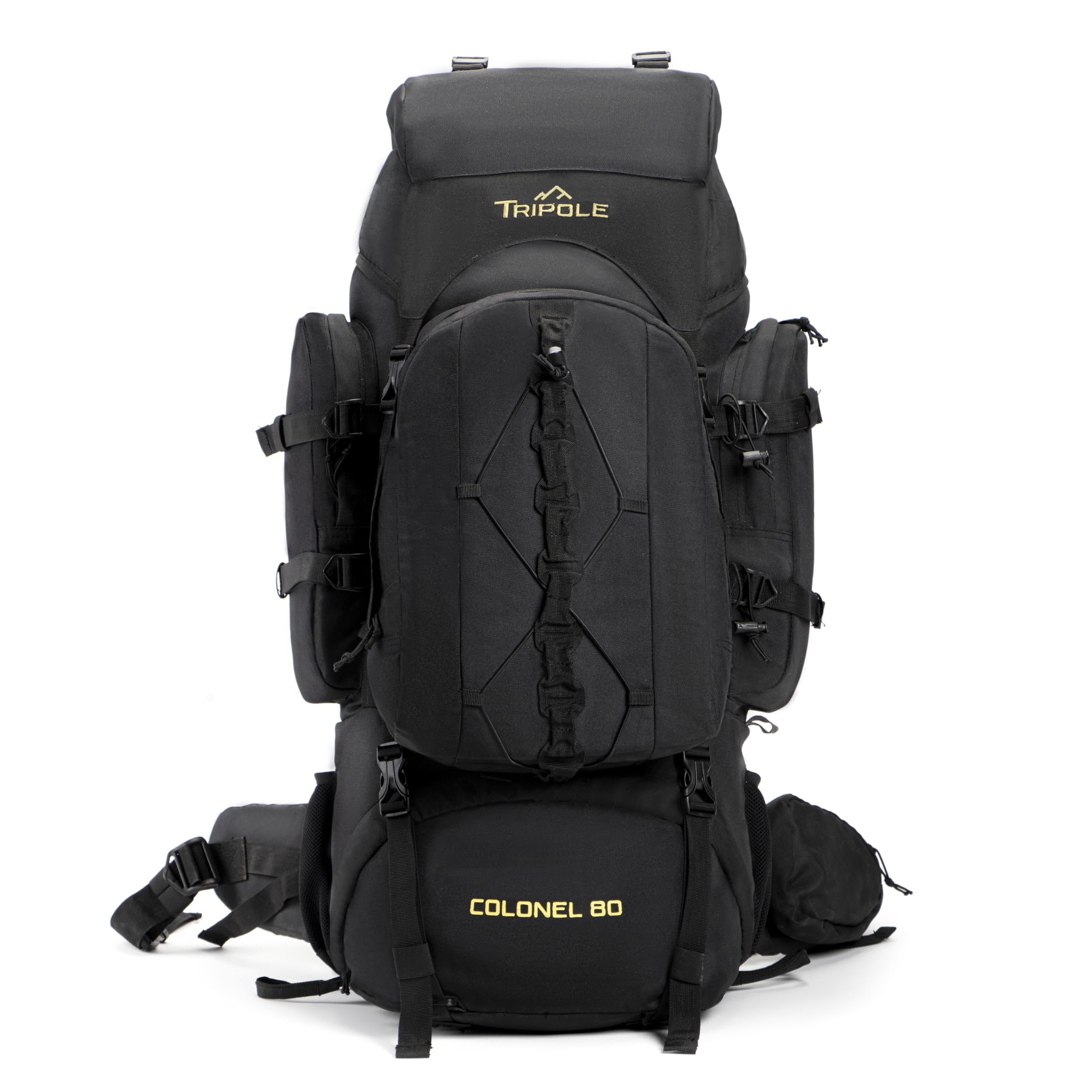 Tripole Colonel 80L internal frame back view shows ergonomic support for hikes.