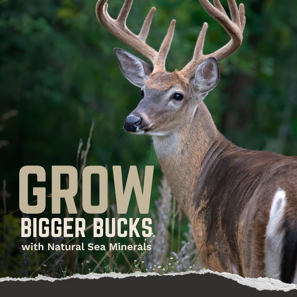 TROPHY ROCK deer attractant close-up shows natural minerals for herd health.