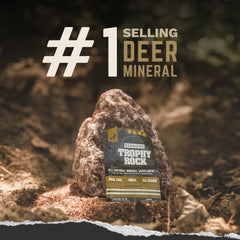 TROPHY ROCK trail cam setup captures deer activity using mineral rock.