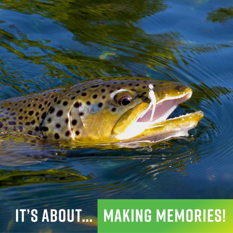 Trout Magnet TNT kit high-visibility colors improve bite detection in clear streams.