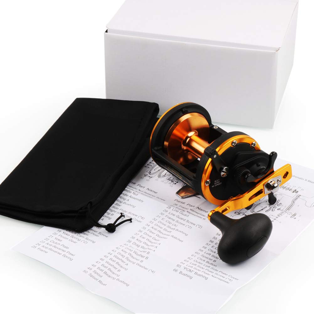 TS50 Gold reel in saltwater fishing setup