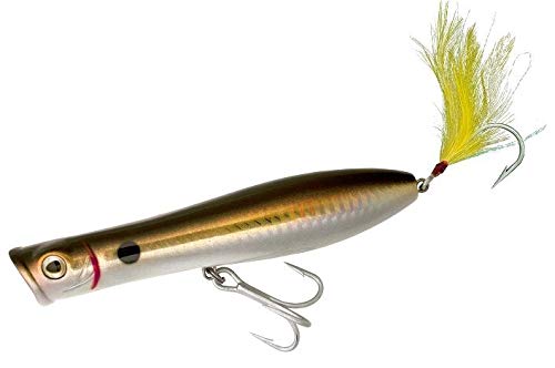 Tsunami Pencil Popper 6-Inch Lure demonstrates popping action to attract predators.