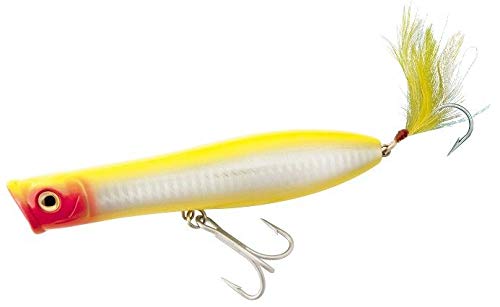 Tsunami Talkin Pencil Popper 5in Yellow Red Head topwater lure attracting strikes.