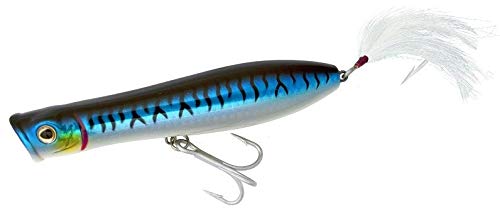 Tsunami Talkin Pencil Popper 6 XD lure in blue mackerel attracts surface strikes