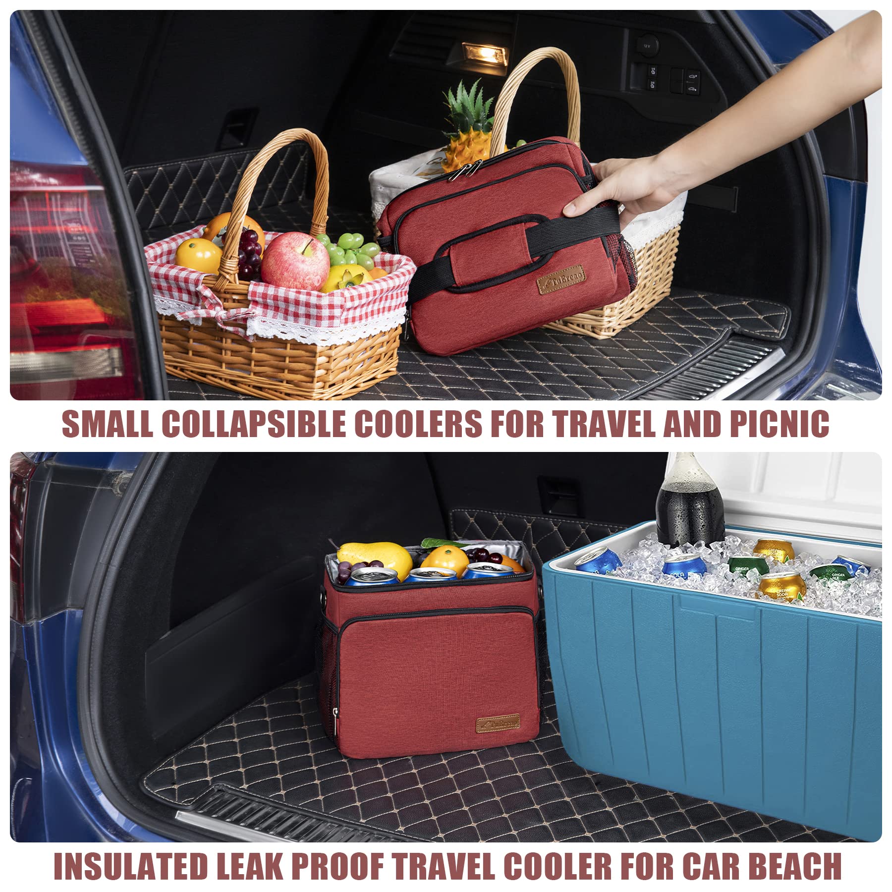 TuErCao cooler bag dimensions image highlights 11x8.66x10.63 inches and 15L.
