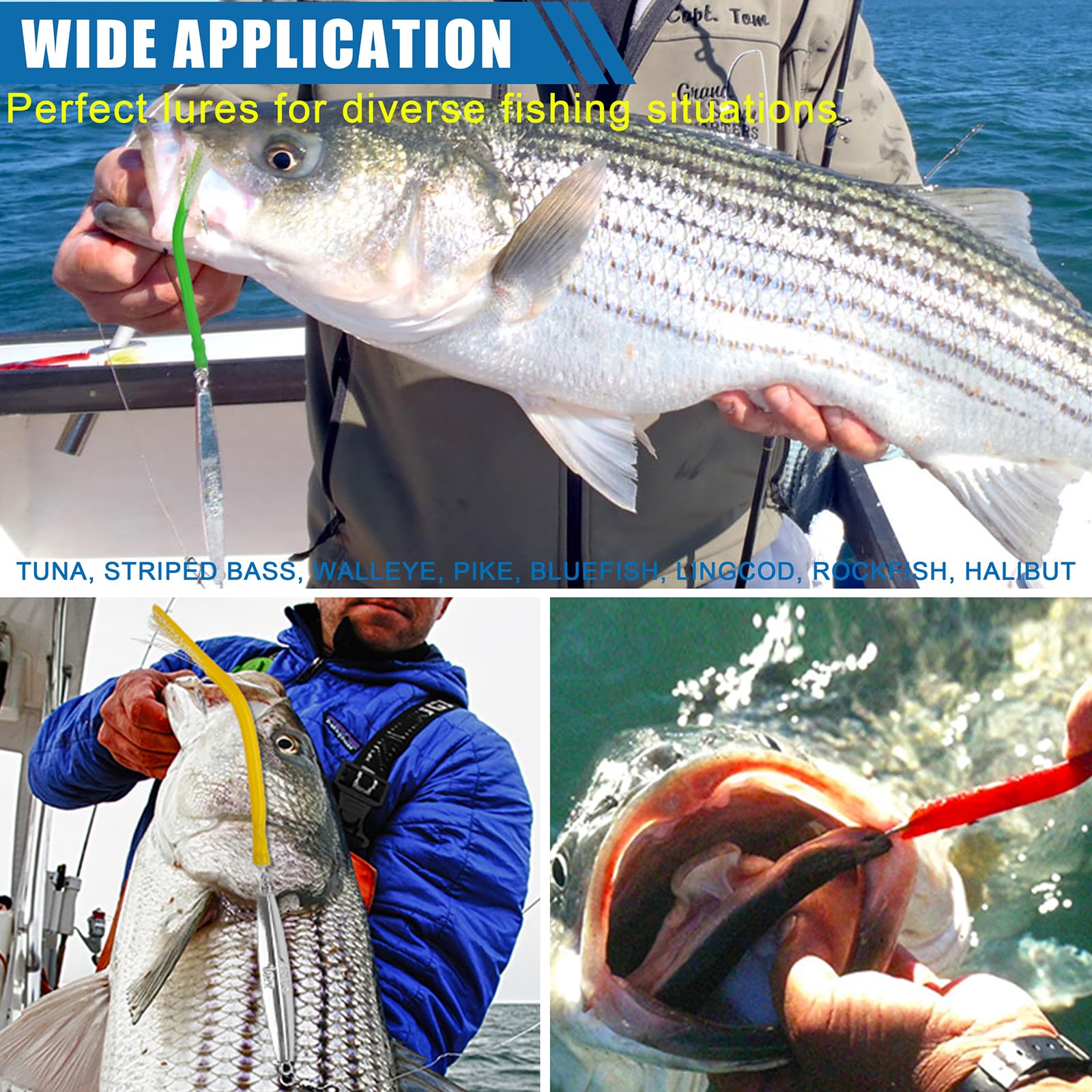 Lures attracting striped bass, bluefish and cod