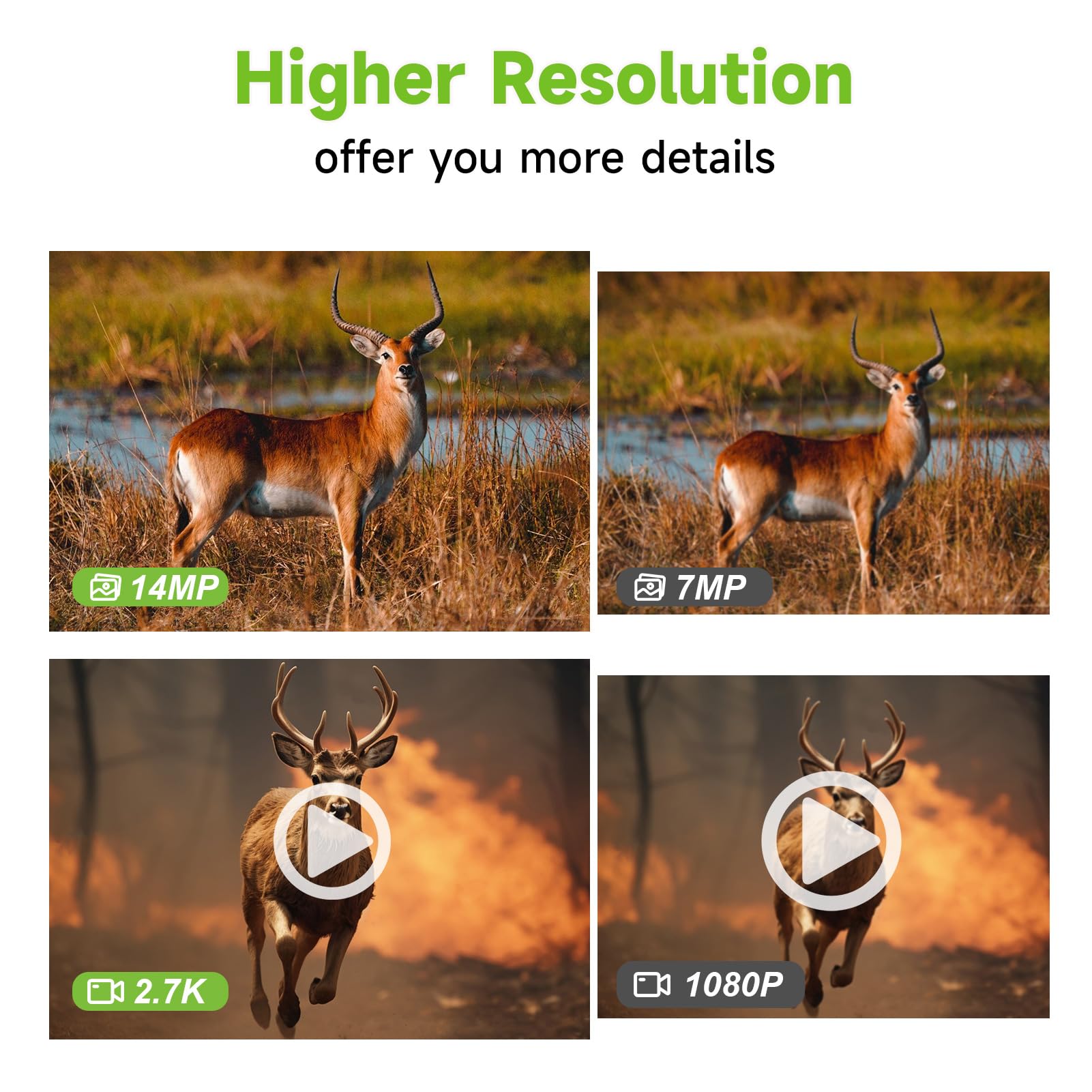 Tziarp trail camera night vision close-up shows infrared clarity for nocturnal wildlife.