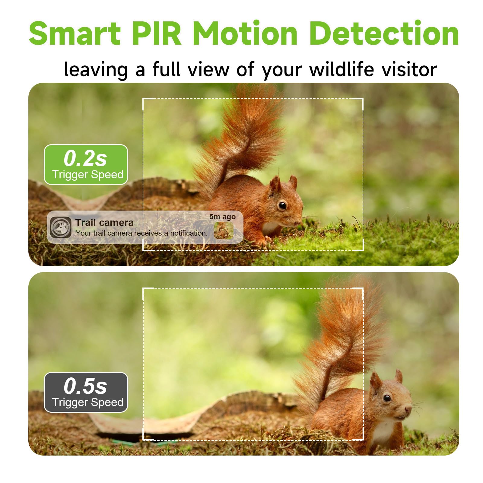 Tziarp camera with fast 0.2s trigger speed capture.