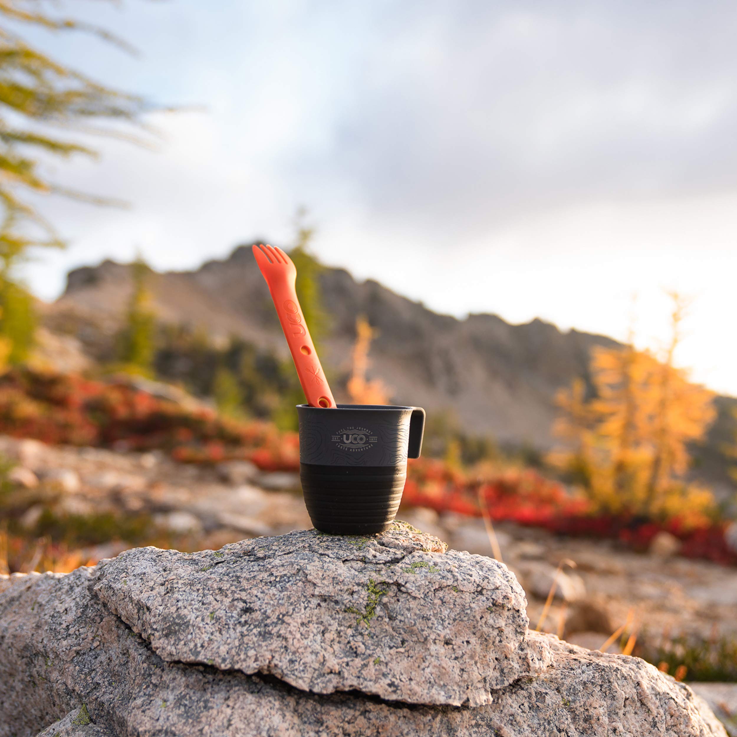 UCO phthalate-free dishwasher-safe cup for safe cleaning