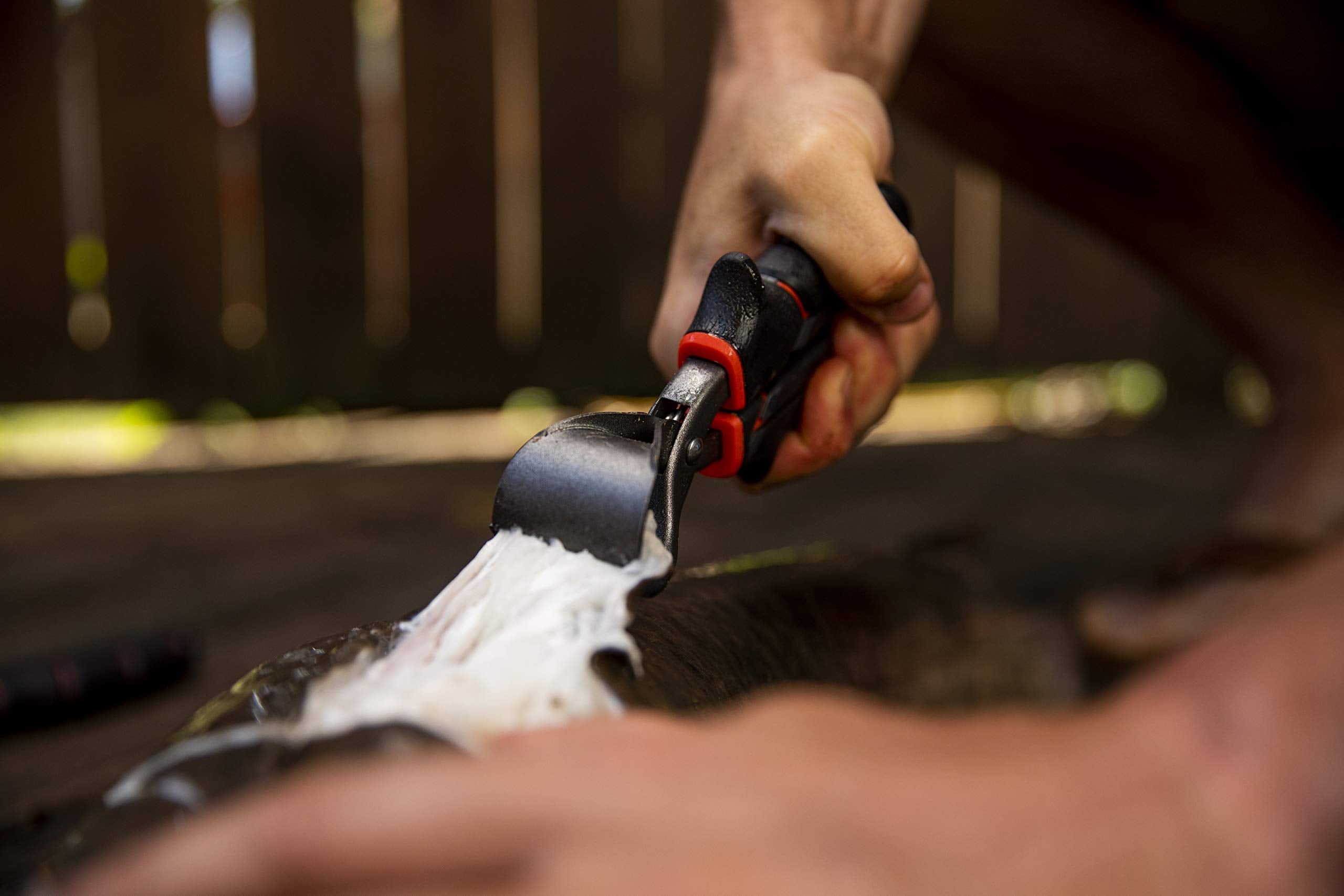 Ugly Stik 7-year warranty badge indicating trusted longevity.