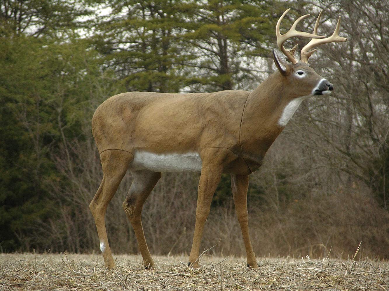 Ultra-realistic Boss Buck hunting decoy for rut behavior
