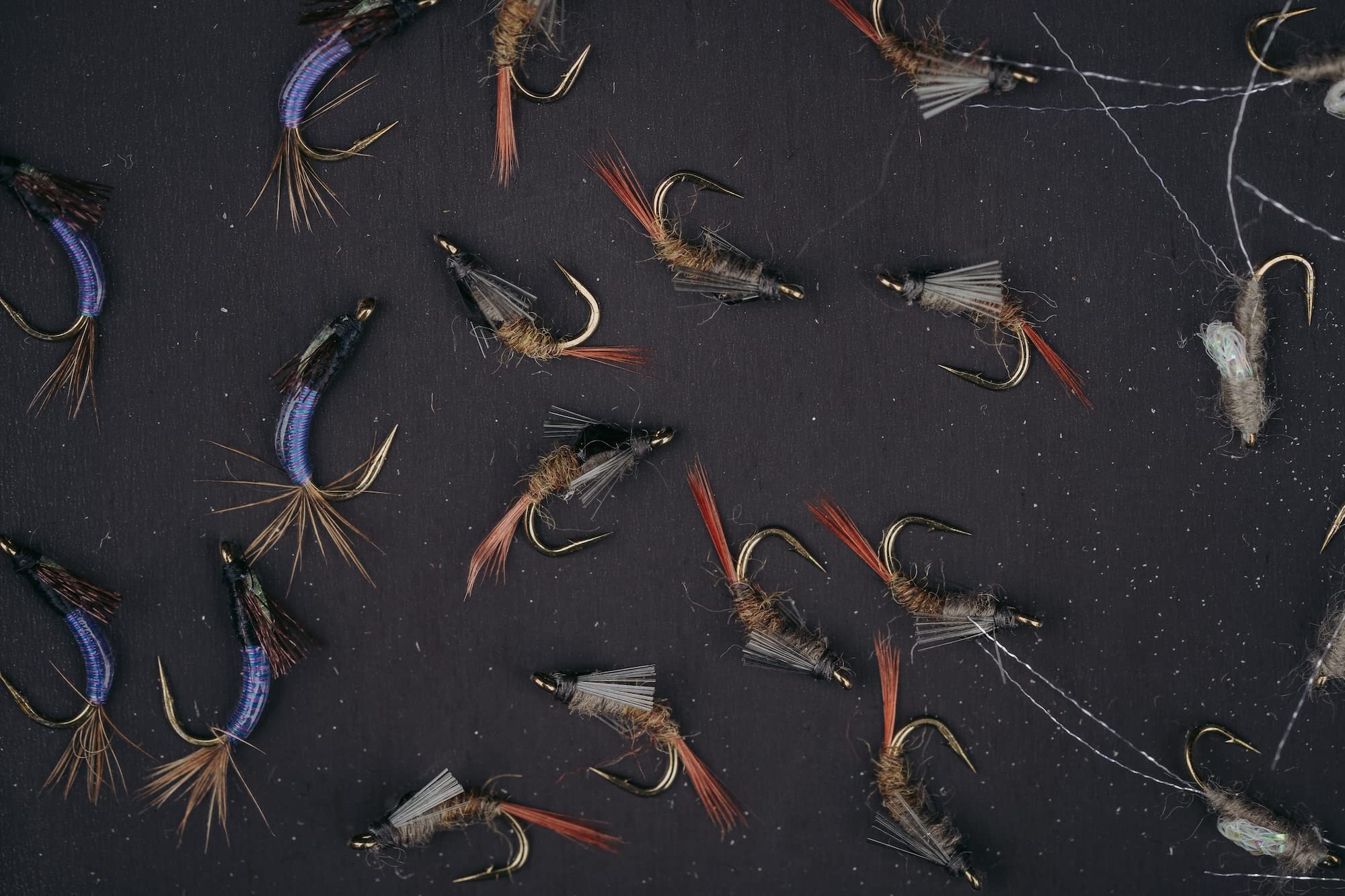 Umpqua UPG Daytripper Lime Fly Box Fly Trap area keeps offset head-to-tail flies organized.