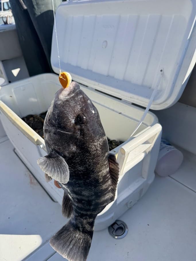 UNCLE MO'S brass-body jig highlights durable saltwater construction