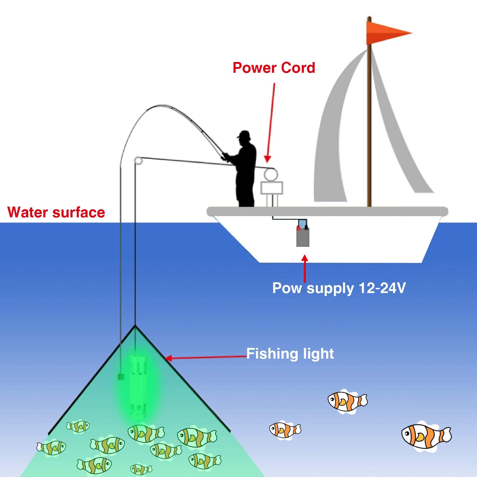 Submersible light attracting a variety of freshwater and saltwater fish