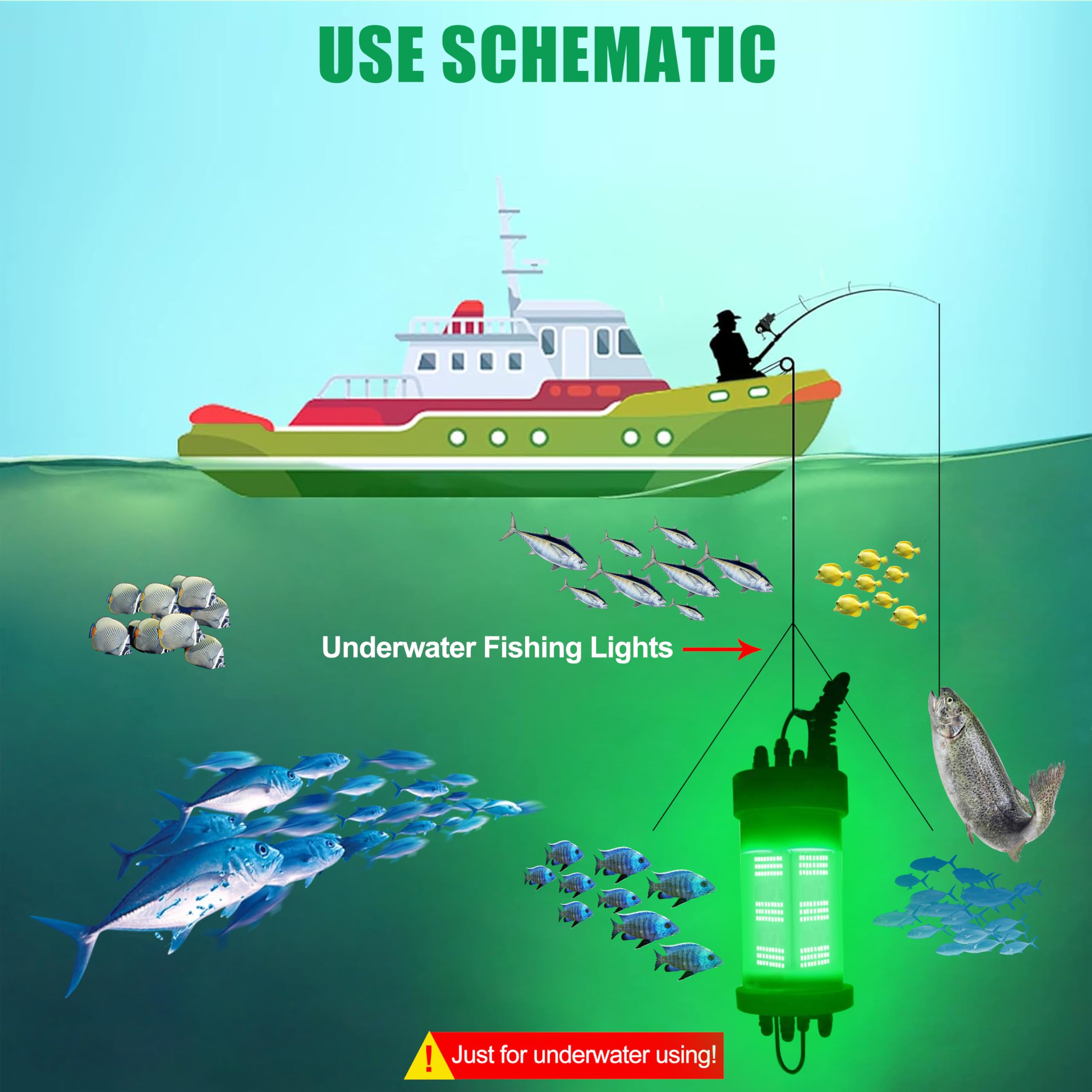 Package contents: underwater light, power adapter, clamps