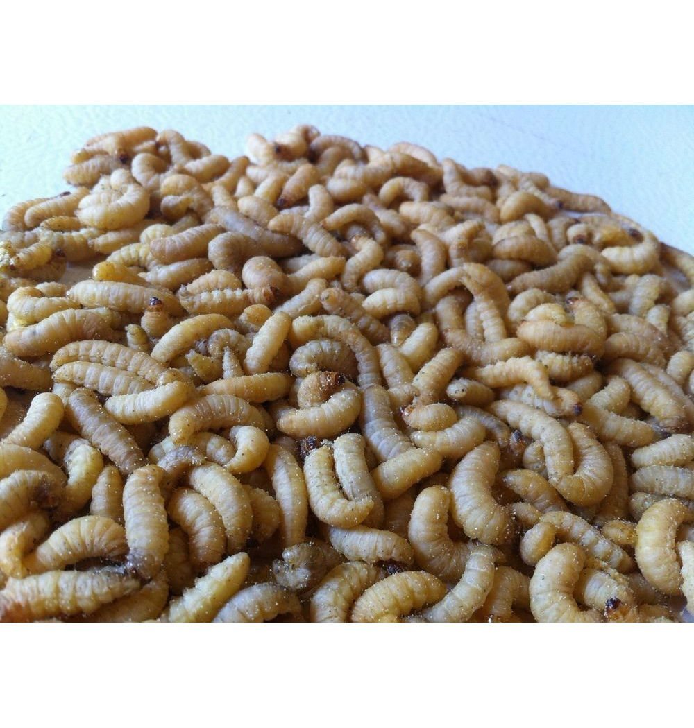 Unknown Brand wax worms with pine shavings, stored dry for freshness