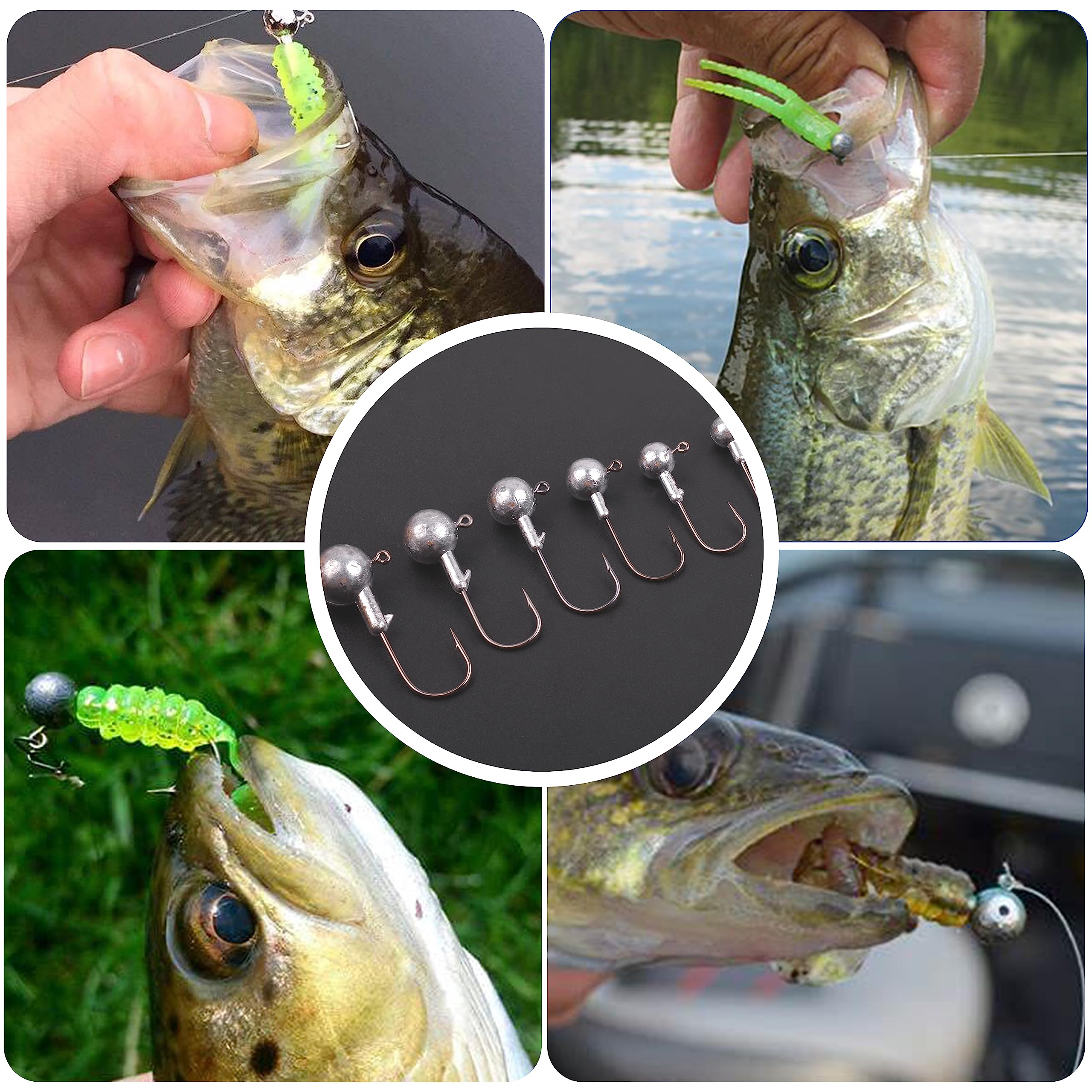 Portable tackle box displaying the jig head assortment