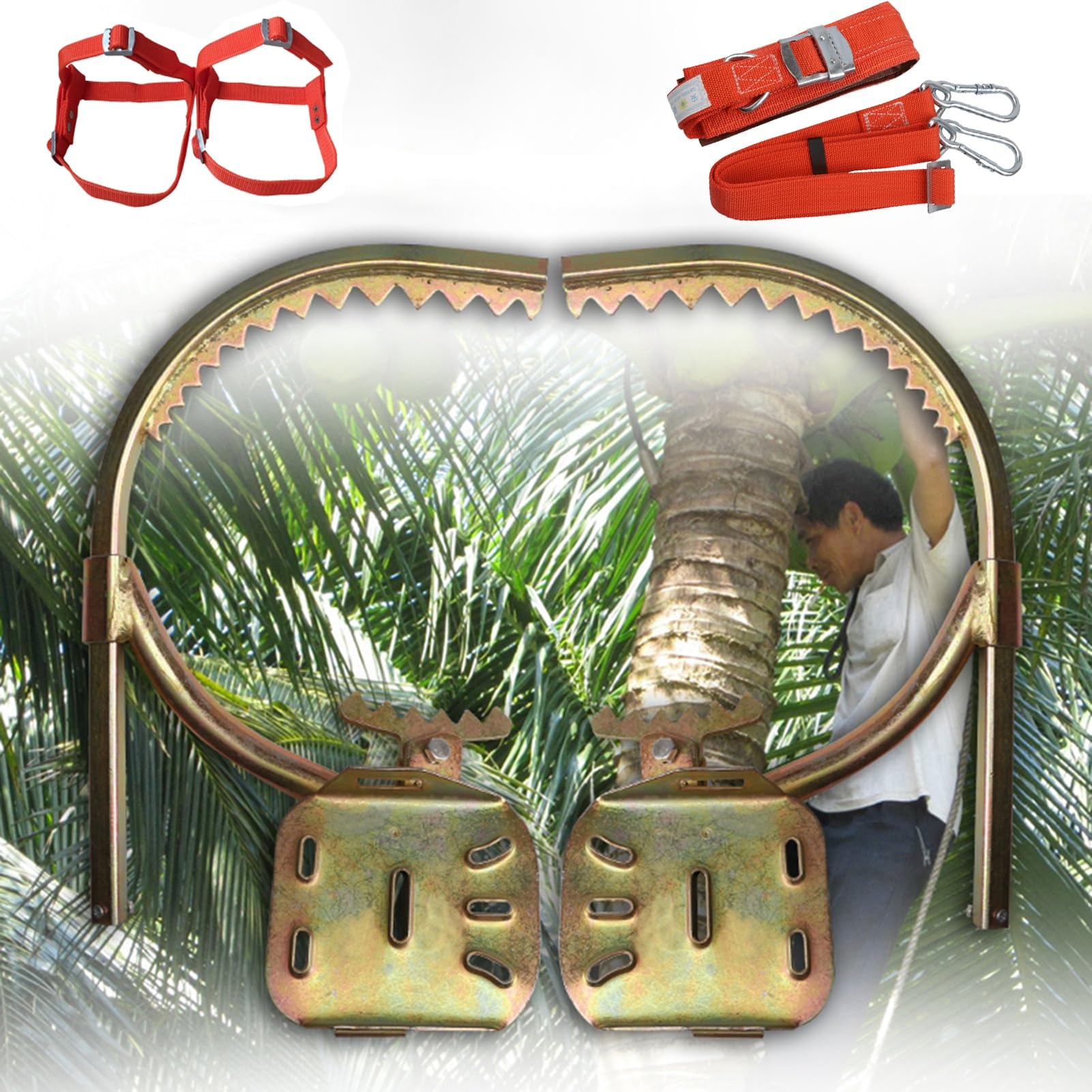 UrbanUp tree climbing gear with safety feet for secure high-altitude grip.