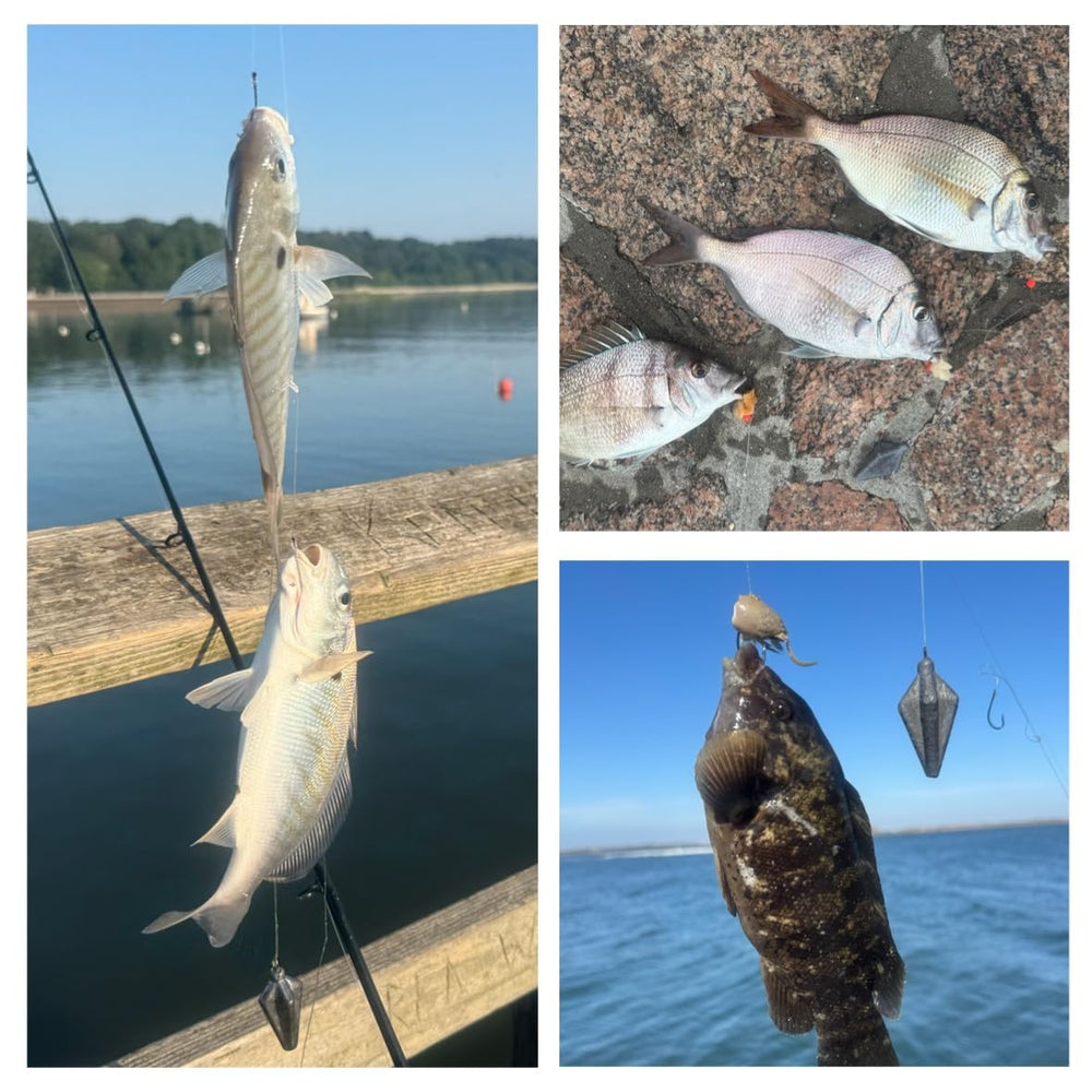 Rig designed for freshwater fishing