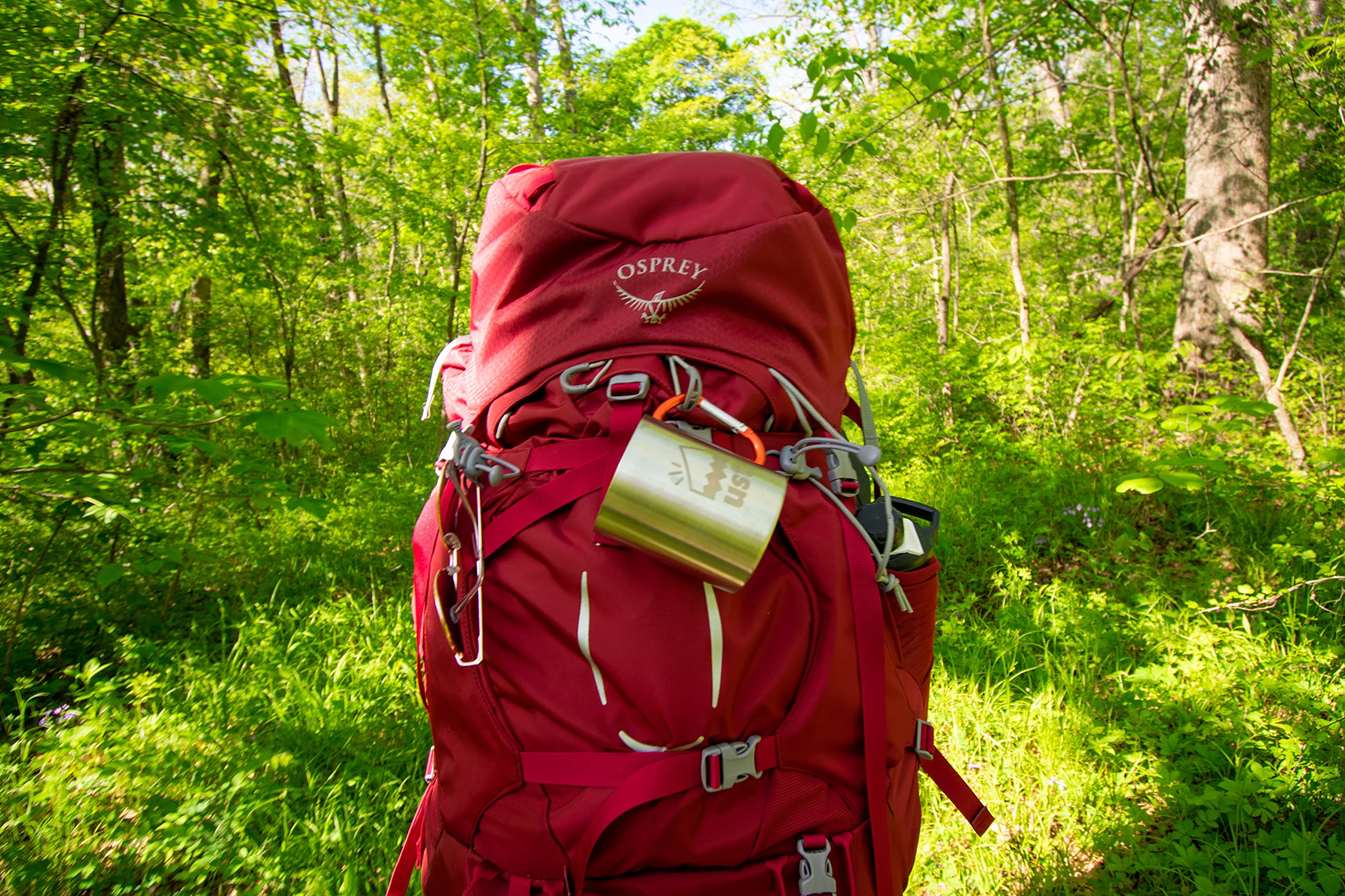 ust KLIPP Biner Mug 1.0 filled with coffee on a trail between trees.