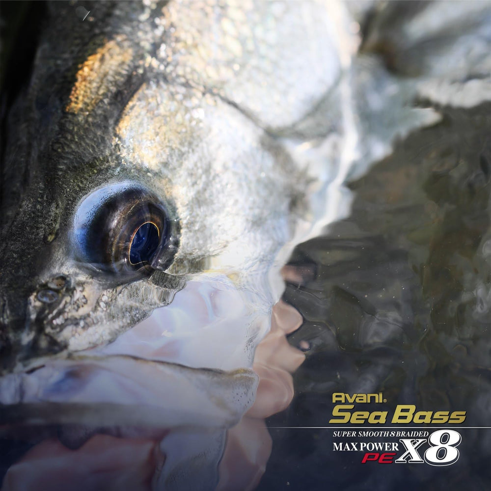 VARIVAS Avani Sea Bass Max Power PE x8 bite-detection benefits for responsive strikes.