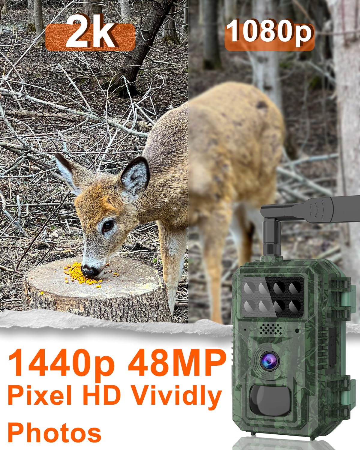 Vatony 2K video and 48MP photos deliver sharp wildlife detail.