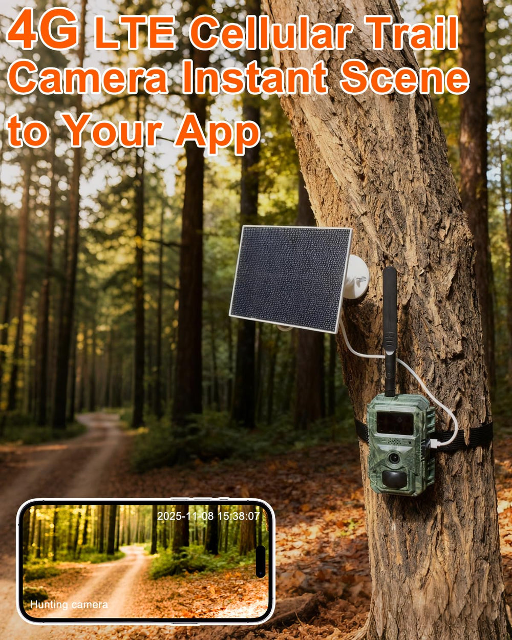 Vatony night vision up to 100ft captures nocturnal activity.