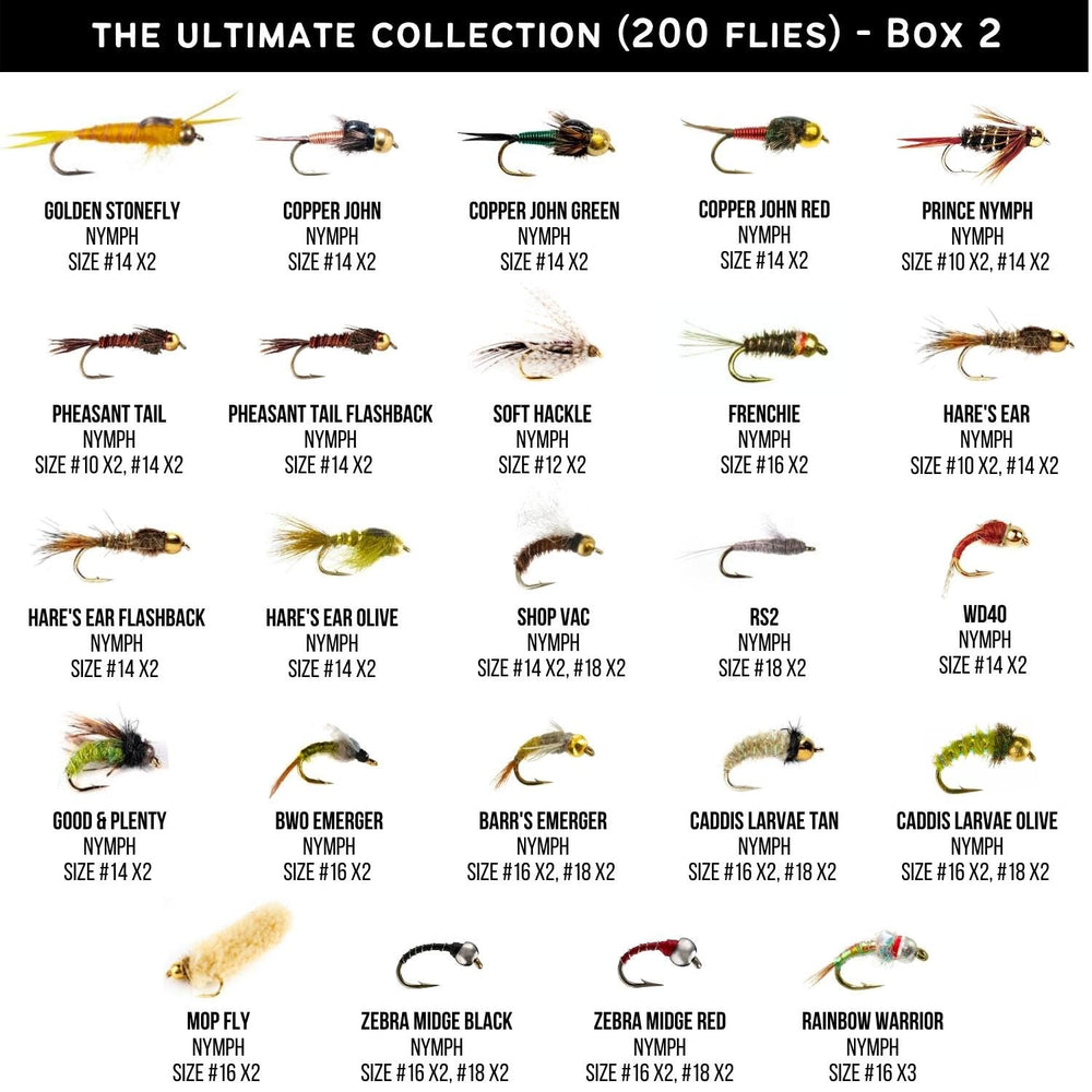Three included fly boxes with organized fly collection