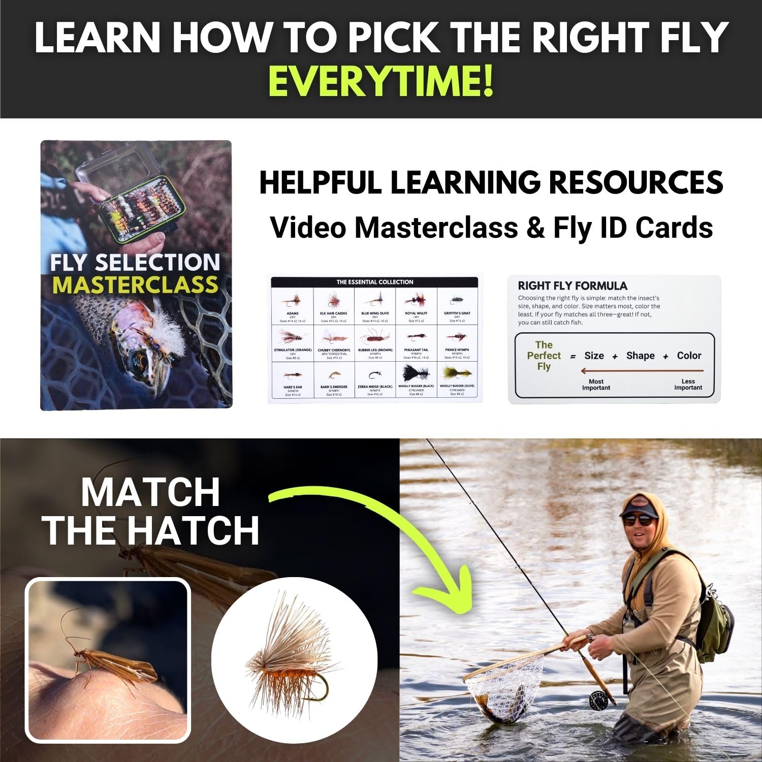 Terrestrials included in the Ventures Fly Co. 40-flies set