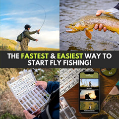 Ventures Fly Co Essential Collection flies displayed for quick selection