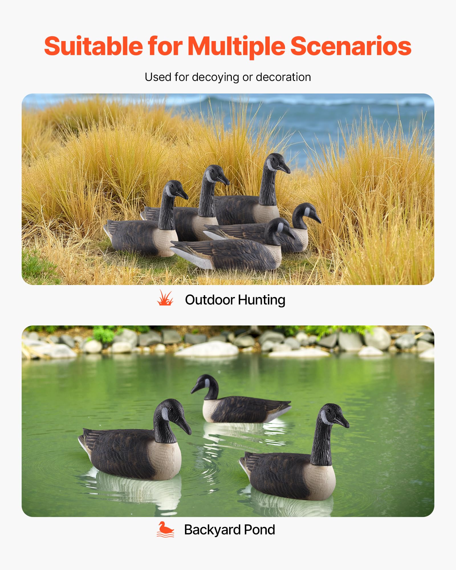 VEVOR goose decoys decorate ponds with a natural, vibrant scene