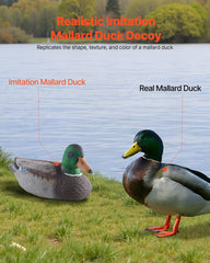 VEVOR Duck Decoys showing male and female figures for natural flock simulation