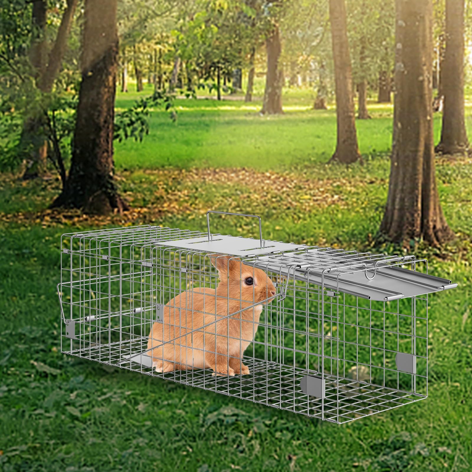Cage with handle enabling easy transport between locations