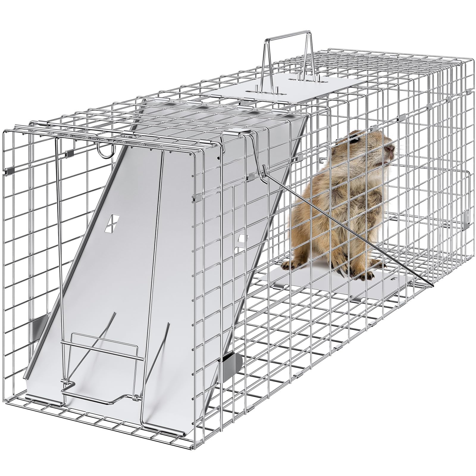 VEVOR Live Animal Cage Trap front view showing compact 31x10x12 dimensions and ready-to-use form