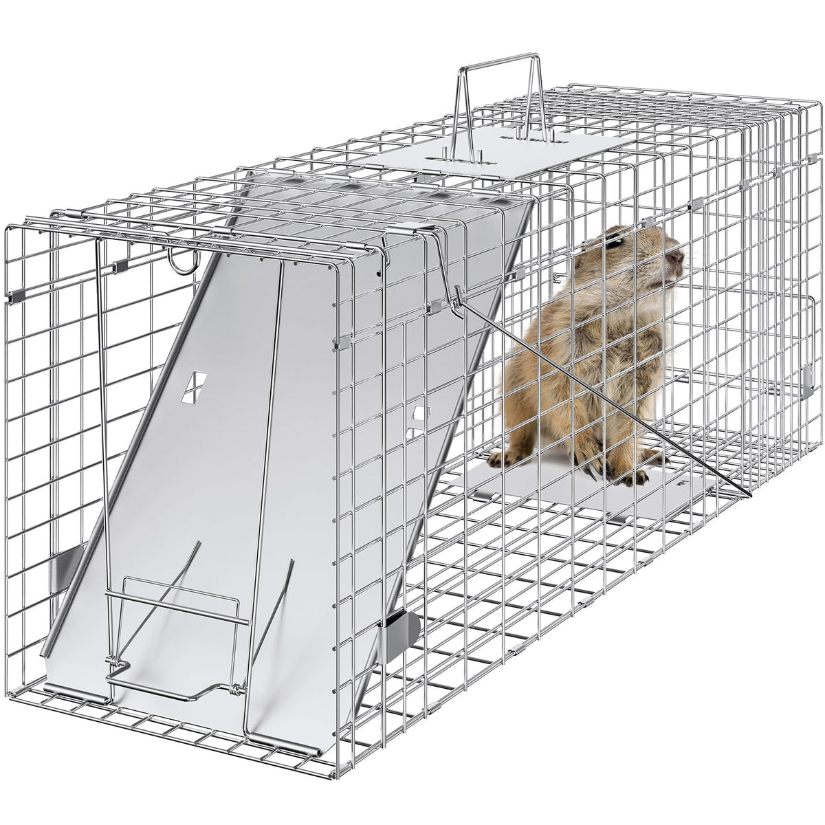 VEVOR live animal cage trap showing 31x10x12 dimensions